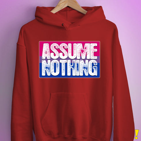 Assume Nothing Bisexual Pride Flag Hoodie - Red